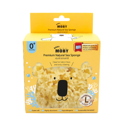 New! Premium Natural Sea Sponge Honeycomb